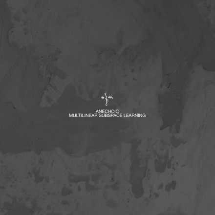 Premiere: Anechoic – Multilinear Subspace Learning